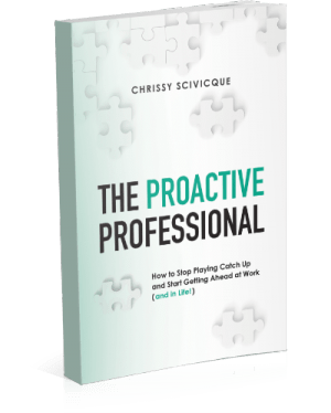 Proactive_Professional_Book